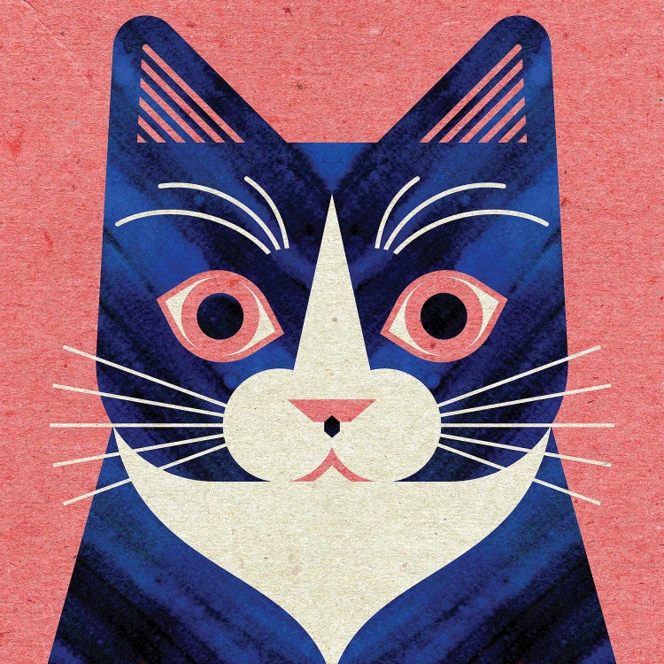 Tuxedo Cat by Scott Partridge wall art