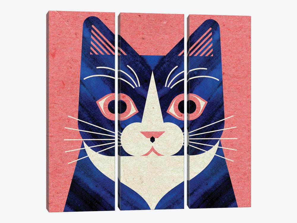 Tuxedo Cat by Scott Partridge 3-piece Canvas Art Print