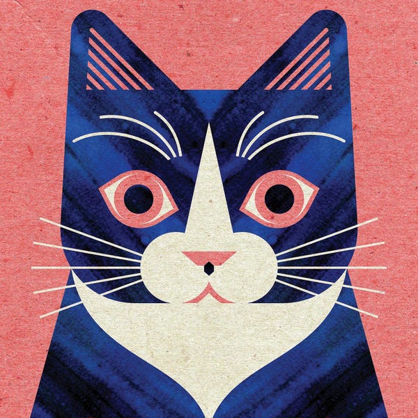 Tuxedo Cat