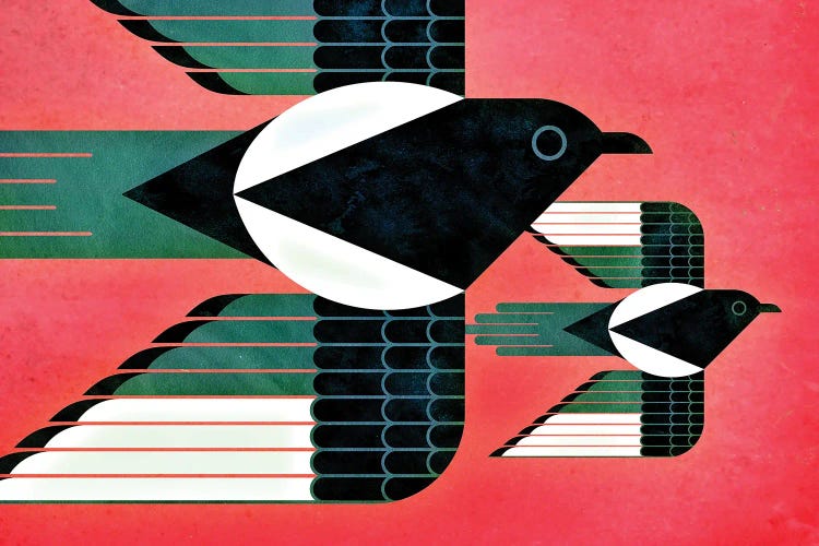 Magpies