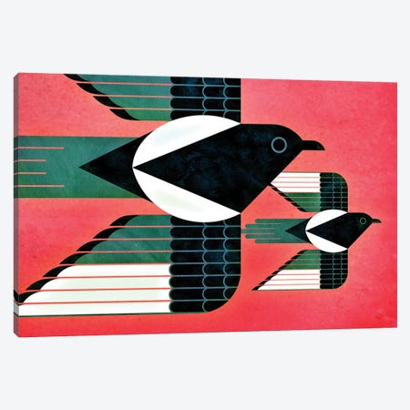 Magpies Canvas Print #SPT133} by Scott Partridge Canvas Art