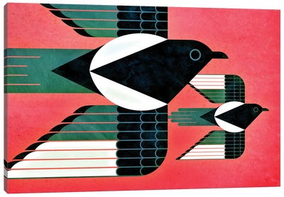 Magpies Canvas Art Print - Scott Partridge