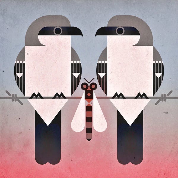 Mid-Century Modern Animals: Shrikes by Scott Partridge