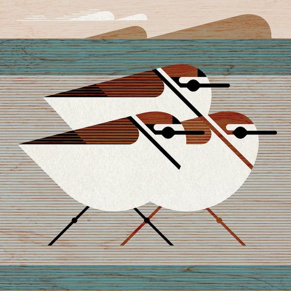 Mid-Century Modern Animals: Kentish Plovers by Scott Partridge