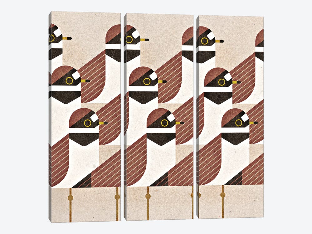 Semipalmated Plovers by Scott Partridge 3-piece Canvas Print