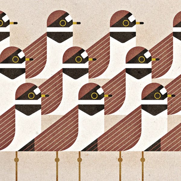 Mid-Century Modern Animals: Semipalmated Plovers by Scott Partridge