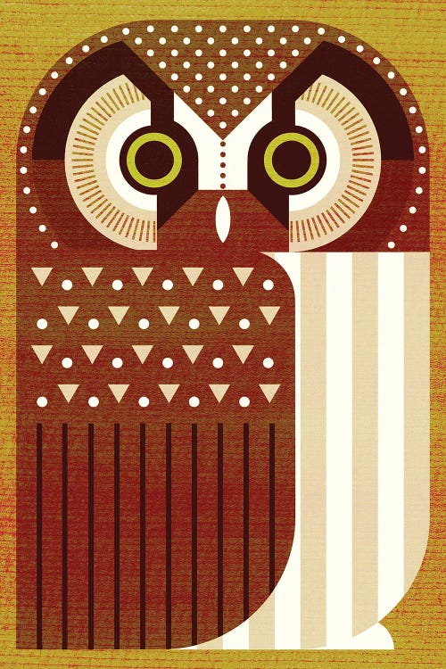 Boreal Owl by Scott Partridge wall art