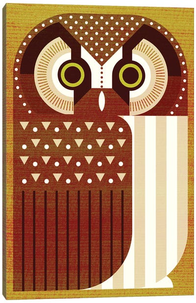 Boreal Owl Canvas Art Print - Scott Partridge