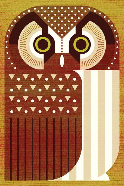 Scott Partridge: Boreal Owl by Scott Partridge