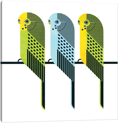 Parakeets Canvas Art Print - Birds On A Wire