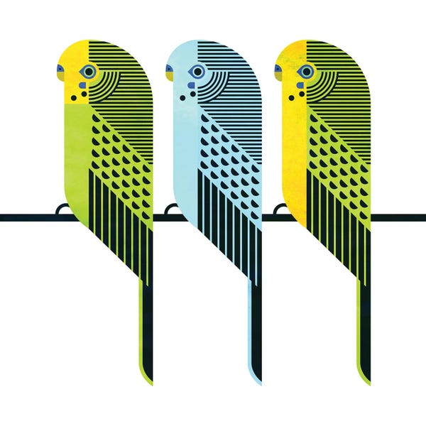 Scott Partridge: Parakeets by Scott Partridge