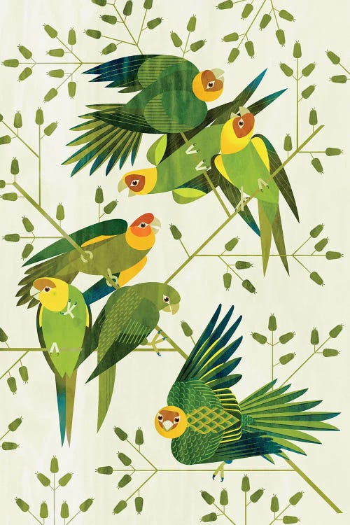 Carolina Parakeets by Scott Partridge wall art