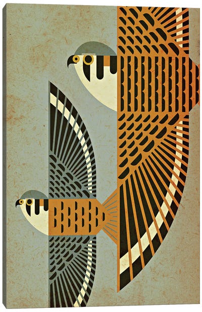Kestrel Pair In Flight Canvas Art Print - Scott Partridge