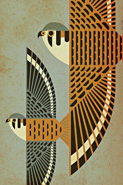 Playroom: Kestrel Pair In Flight by Scott Partridge