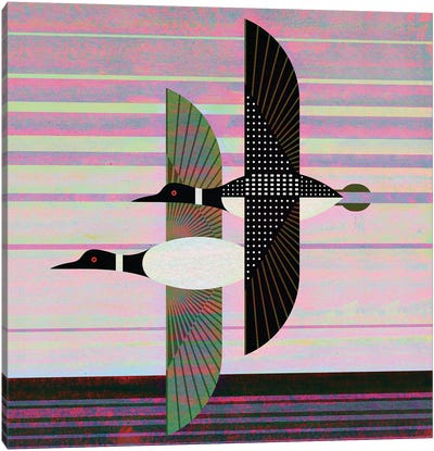 Loons Flying Canvas Art Print - Mid-Century Modern Animals