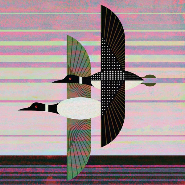 Mid-Century Modern Animals: Loons Flying by Scott Partridge