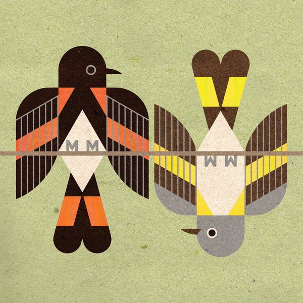 Scott Partridge: American Redstarts by Scott Partridge
