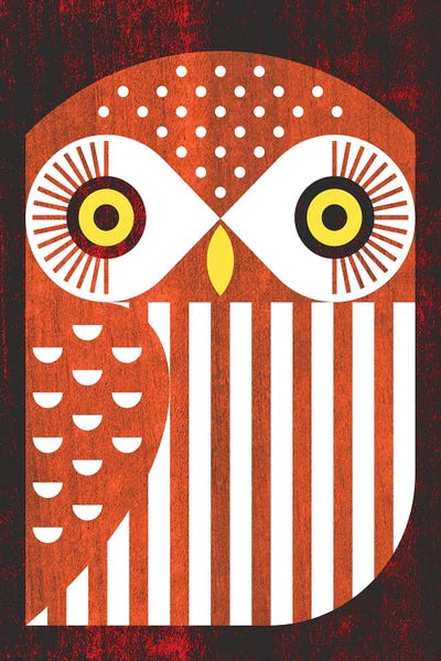 Ferruginous Pygmy Owl by Scott Partridge canvas print