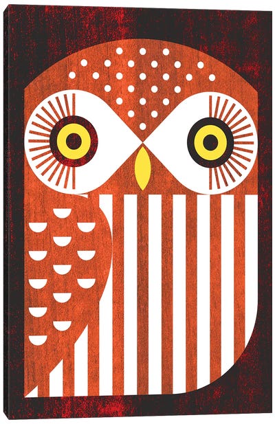 Ferruginous Pygmy Owl Canvas Art Print - Scott Partridge