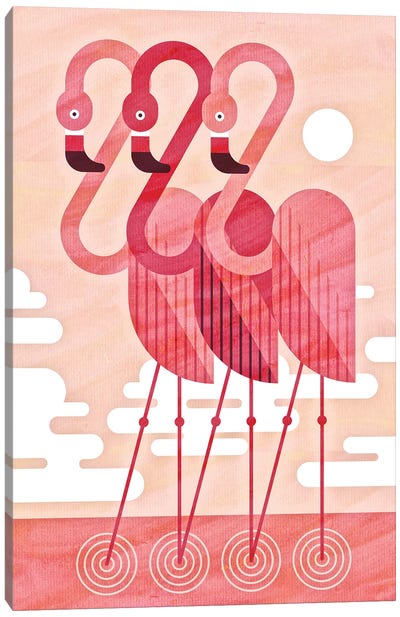 Flamingos Canvas Art Print - Scott Partridge