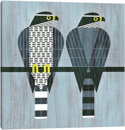Goshawk Canvas Art Print - Birds On A Wire