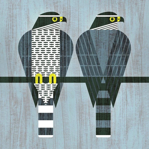 Scott Partridge: Goshawk by Scott Partridge