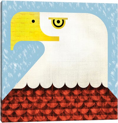 Bald Eagle Canvas Art Print - Scott Partridge