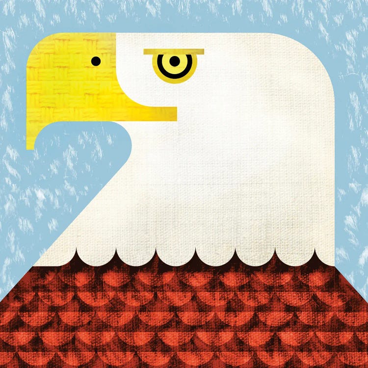 Bald Eagle by Scott Partridge wall art