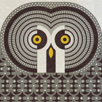 Great Grey Owl by Scott Partridge metal wall art