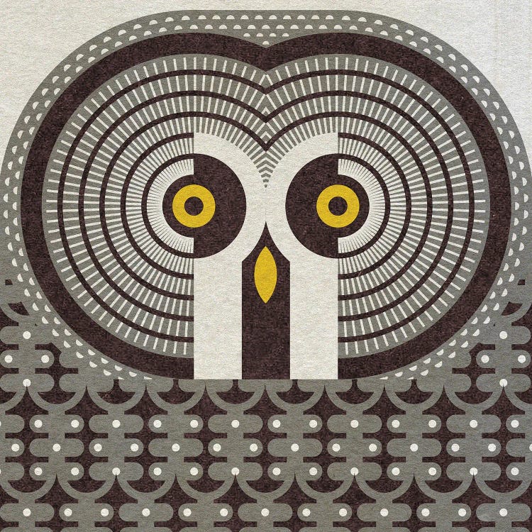 Great Grey Owl
