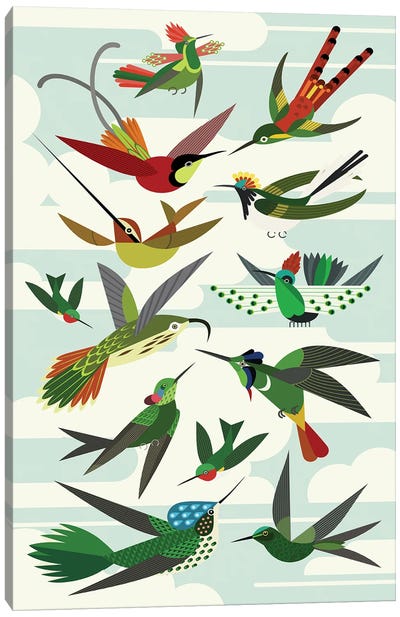 Hummingbirds Canvas Art Print - Scott Partridge