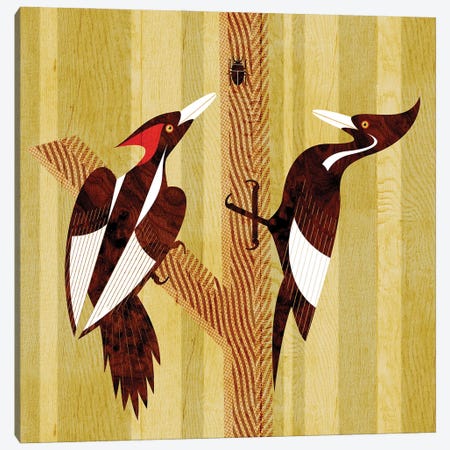 Ivory Billed Woodpeckers Canvas Print #SPT56} by Scott Partridge Canvas Art