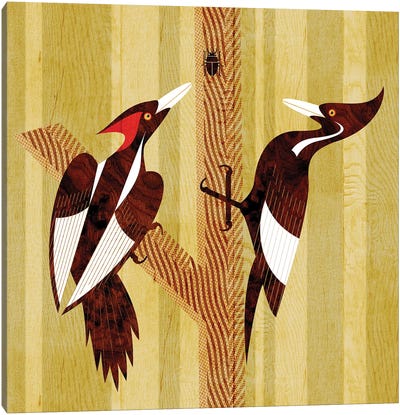 Ivory Billed Woodpeckers Canvas Art Print - Yellow Art