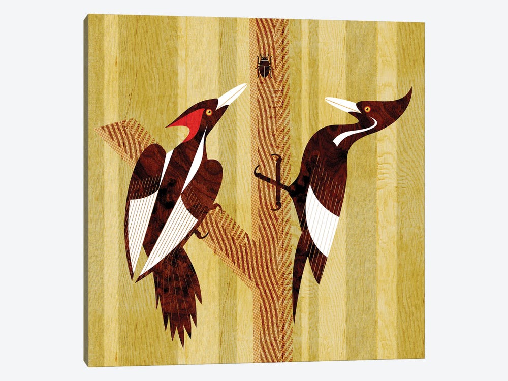 Ivory Billed Woodpeckers by Scott Partridge 1-piece Art Print