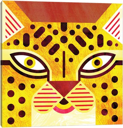 Jaguar Canvas Art Print - Scott Partridge