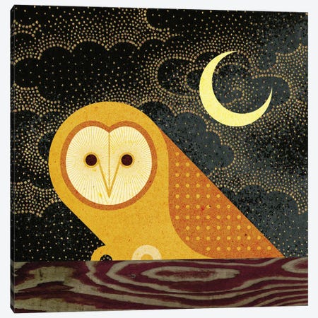 Barn Owl Canvas Print #SPT5} by Scott Partridge Canvas Art