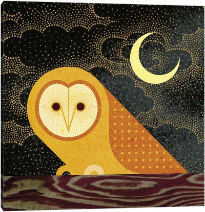 Barn Owl Canvas Art Print - Mid-Century Modern Animals