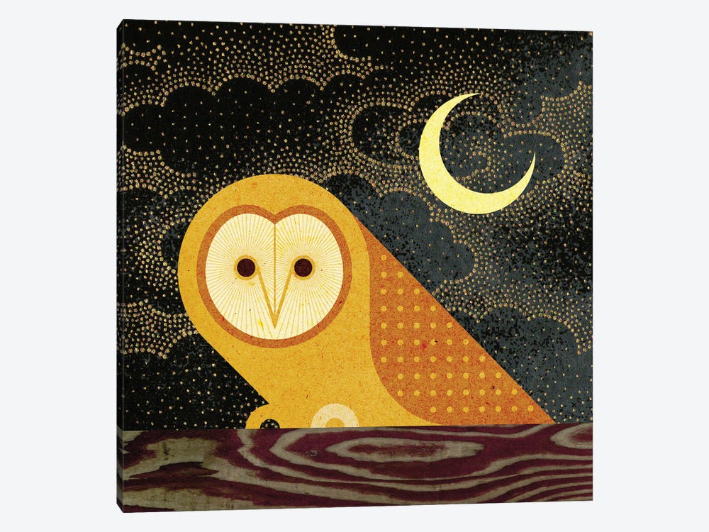 Barn Owl by Scott Partridge 1-piece Canvas Art Print