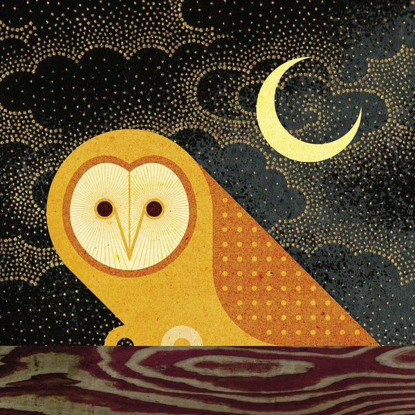 Mid-Century Modern Animals: Barn Owl by Scott Partridge
