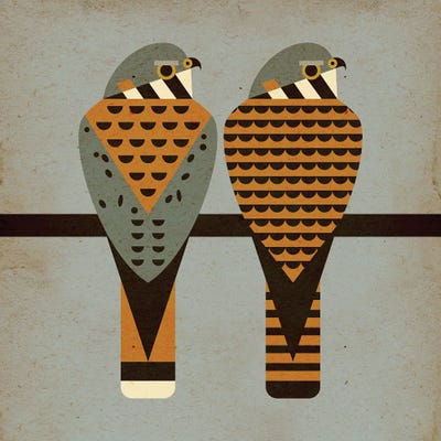Kestrels by Scott Partridge art print