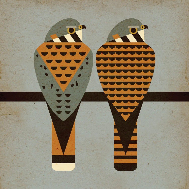 Kestrels by Scott Partridge wall art