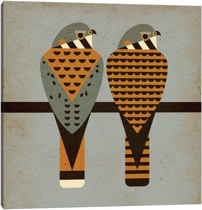 Kestrels Canvas Art Print - Birds On A Wire