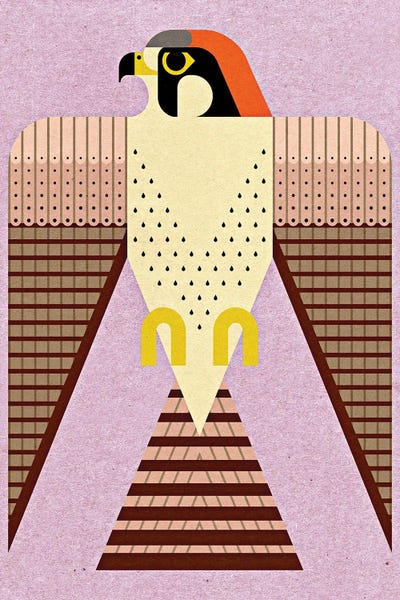 Mid-Century Modern Animals: Lanner Falcon by Scott Partridge