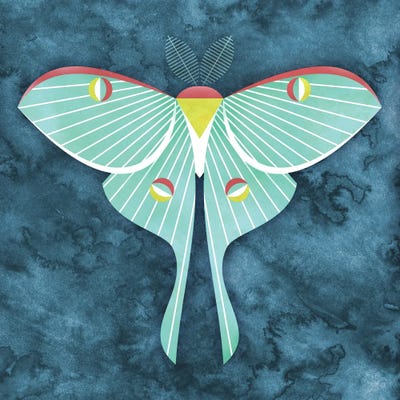 Luna Moth by Scott Partridge metal wall art