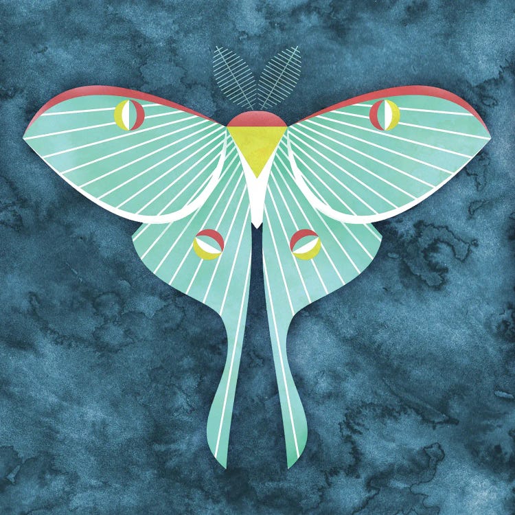 Luna Moth by Scott Partridge wall art