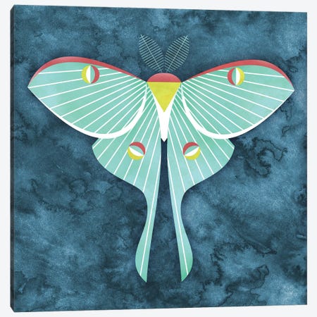 Luna Moth Canvas Print #SPT65} by Scott Partridge Canvas Print