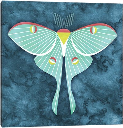 Luna Moth Canvas Art Print - Scott Partridge