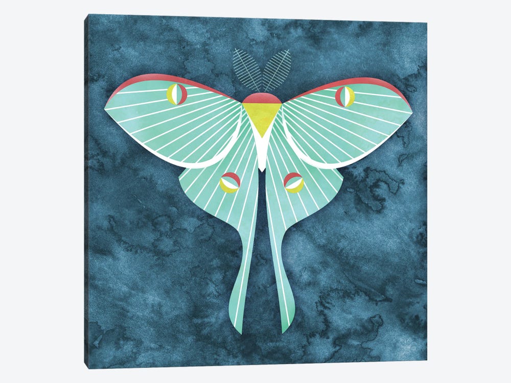 Luna Moth by Scott Partridge 1-piece Canvas Print