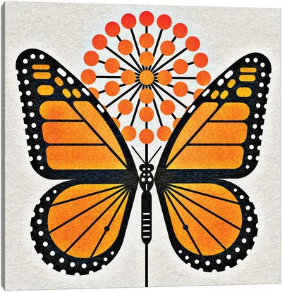 Monarch Canvas Art Print - Monarch Metamorphosis