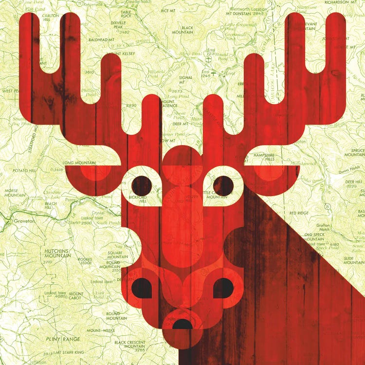 Moose by Scott Partridge wall art